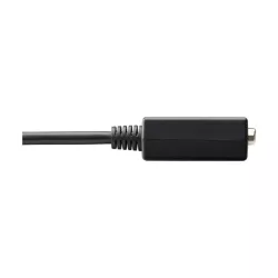 Tripp Lite by Eaton - Adaptateur DisplayPort vers VGA (M/F), 15,24 cm .