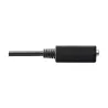 Tripp Lite by Eaton - Adaptateur DisplayPort vers VGA (M/F), 15,24 cm .