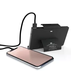 Batterie de secours pour Nintendo SWITCH - 10000mAh - 1 USB + 1 USB-C 3.1A - charge par micro USB