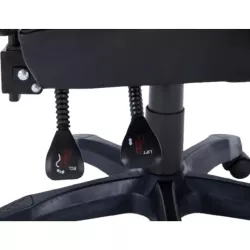 Fauteuil gaming GAMIUM Altar, finition PU diamant, accoudoirs fixes, 5 roues, vérin classe 3 100mm, coussins tête et lombaires…