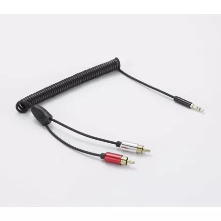 Câble Jack mâle 3.5mm / 2 RCA torsadé 2m - noir