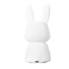 Veilleuse lapin en silicone, batterie rechargeable, auto 9-11h, lumière blanche fixe /7 couleurs en défiler…