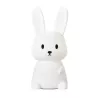 Veilleuse lapin en silicone, batterie rechargeable, auto 9-11h, lumière blanche fixe /7 couleurs en défiler…