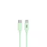 WE POP Pack Chargeur secteur + Câble USB-C/Lightning Vert : Chargeur secteur vert PD 20W port USB-C - Câble USB-C/Lightning…