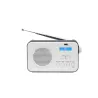 Radio portable DAB+/DAB/FM, double alarme, écran LCD, batterie rechargeable de 2000mAh Luminosité réglable, antenne…