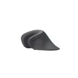 Souris ergonomique WE, 2-en-1 connexion BT + 2.4GHz, 5 boutons et 1 molette DPI 800-1200-1600 noire, 1 pile AA inclus