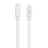 WE Câble USB-C/Lightning mâle/mâle plat 1m - blanc