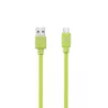 Câble USB-C mâle/USB A mâle plat 1 m - USB 3.1 gen 2 - vert ne s'emmêle pas