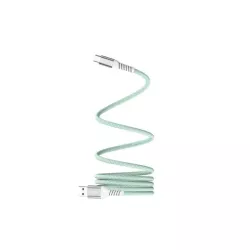 Câble USB/USB-C magnétique, USB2,0 - 20V/3A 60W, 1mètre Vert