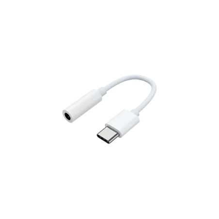 Adaptateur USB C vers prise jack SAMSUNG Coloris Blanc GP-TGU023AEAWW