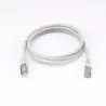 Câble RJ45 Male/Male droit CAT6A S/FTP - Longueur 1M - Gris - en sachet