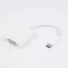 Adaptateur USB-C mâle /VGA femelle Connecrteurs en nickel Pour Macbook et PC Plug & Play