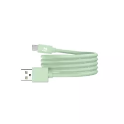 Câble IZZY USB / USB-C 1m - 60W - vert