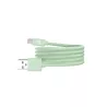 Câble IZZY USB / USB-C 1m - 60W - vert