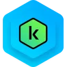 Kaspersky Standard 1 Poste/1 An KL1041F5AFS