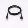 Câble USB A/USB B Male/Male - Longueur 2M - Noir - en sachet