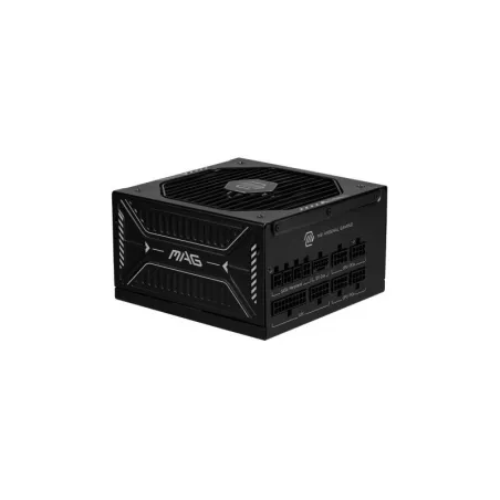 MSI MAG A1000GLS PCIE5