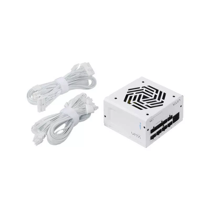 FSP (FORTRON) Alimentation 1000W 80+Gold *VITA-1000GM, WHITE