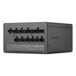 FRACTAL Ion 3 Gold 750W Black, EU Cord