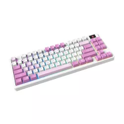 MSI FORGE GK600 TKL W VIOLET FR