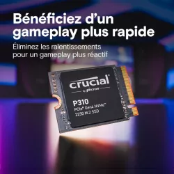 CRUCIAL P310 2T PCIe Gen4 2230 M.2 *CT2000P310SSD2