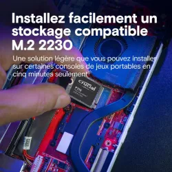 CRUCIAL P310 2T PCIe Gen4 2230 M.2 *CT2000P310SSD2
