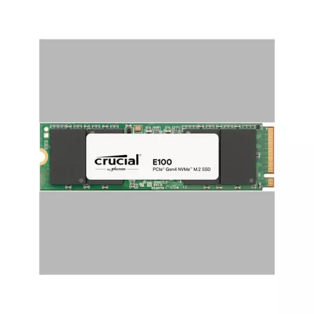 CRUCIAL E100 480G Gen4 2280