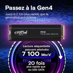 CRUCIAL P310 1T PCIe M.2*CT1000P310SSD5 avec heatsink