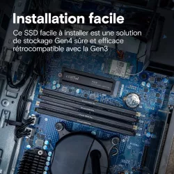 CRUCIAL P310 1T PCIe M.2*CT1000P310SSD5 avec heatsink