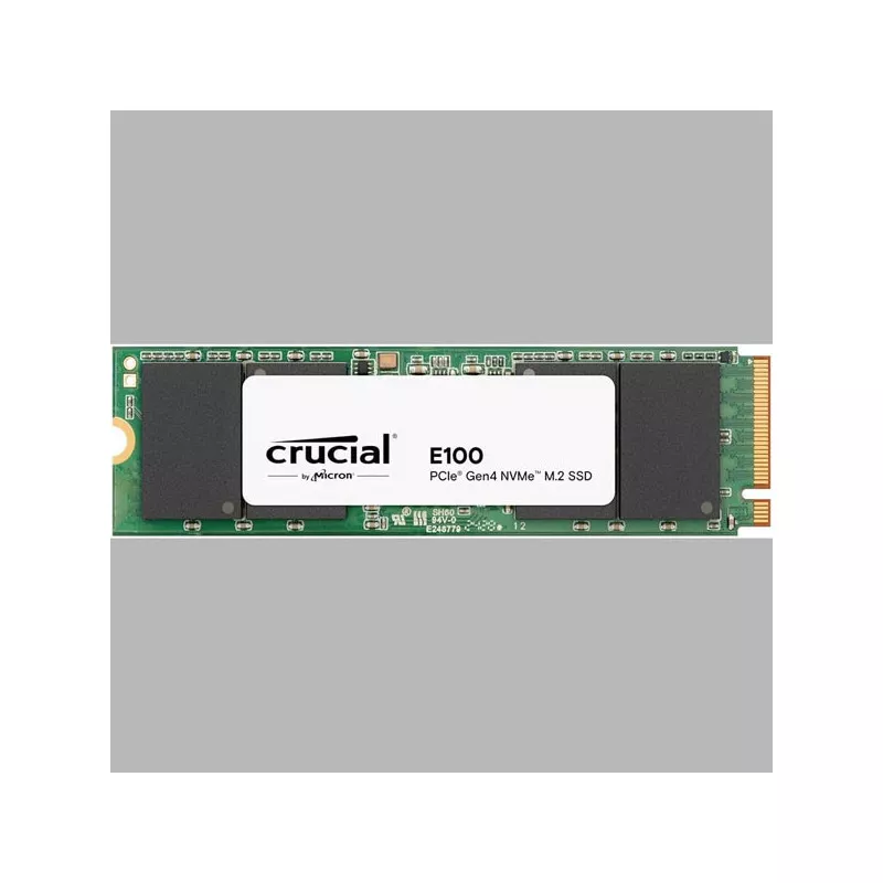 CRUCIAL E100 1T Gen4 2280 Tray