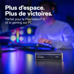 CRUCIAL P510 2TB PCIe Gen5 NVMe 2280 M.2 SSD with heatsink