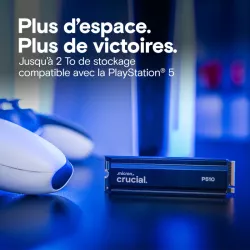CRUCIAL P510 2TB PCIe Gen5 NVMe 2280 M.2 SSD with heatsink