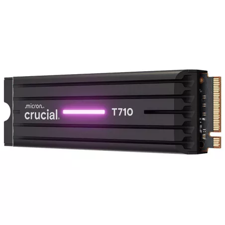 CRUCIAL T710 1T PCIe M.2 with heatsink*CT1000T710SSD5