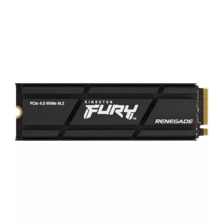 Kingston Technology 1000G RENEGADE PCIe 4.0 NVMe SSD W/ Radiateur de dissipation thermique