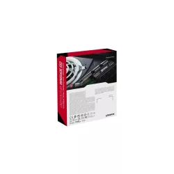 Kingston Technology 1000G RENEGADE PCIe 4.0 NVMe SSD W/ Radiateur de dissipation thermique