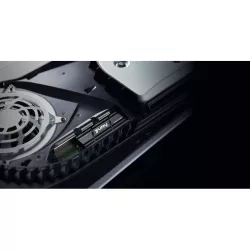Kingston Technology 1000G RENEGADE PCIe 4.0 NVMe SSD W/ Radiateur de dissipation thermique