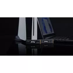 Kingston Technology 4000G RENEGADE PCIe 4.0 NVMe SSD W/ Radiateur de dissipation thermique