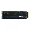 PNY CS1030 500Go