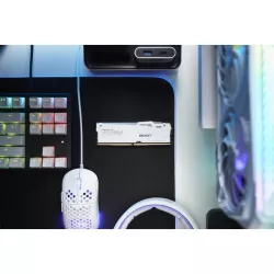 Kingston Technology FURY Beast 32GB 6000MT/s DDR5 CL36 DIMM (Kits de 2) White RGB EXPO