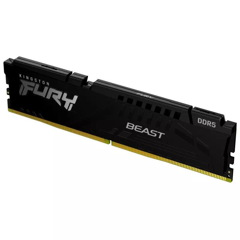 Kingston Technology FURY Beast 16 Go 5600 MT/s DDR5 CL36 DIMM Black