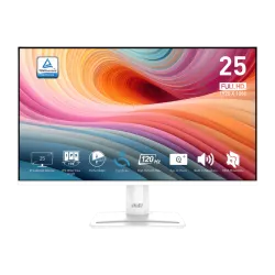 MSI PRO MP251W E2o