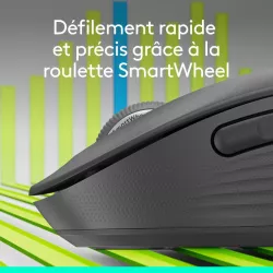 Logitech Souris Signature M650 M *910-006253