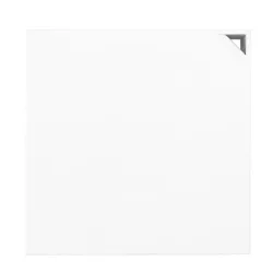 ASUS RT-AX57 Go routeur sans fil Gigabit Ethernet Bi-bande (2,4 GHz / 5 GHz) Blanc