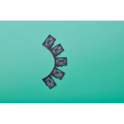 Kingston Technology 64GB micSDXC Canvas Select Plus Gen3 100R A1 (Adaptateur SD non inclus)