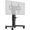 IIYAMA MD CAR1021-B1 | MonPC.Store