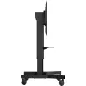 IIYAMA MD CAR1021-B1 | MonPC.Store
