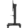 IIYAMA MD CAR1021-B1 | MonPC.Store