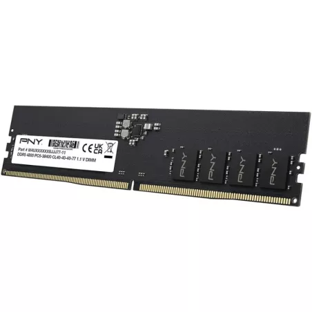 PNY DIMM Performance DDR5 8GB 4800MHz (bulk) | MonPC.Store