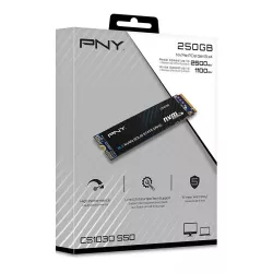 PNY CS1030 M.2 GEN3 250GB | MonPC.Store