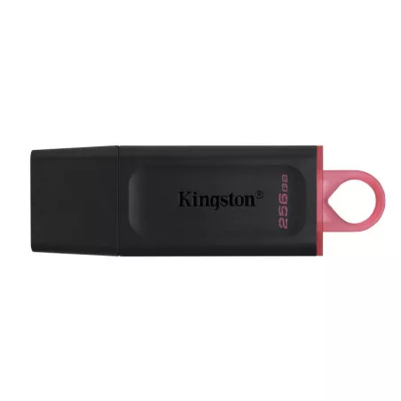 KINGSTON 256G USB 3.2 Gen 1 *DTX/256GB | MonPC.Store